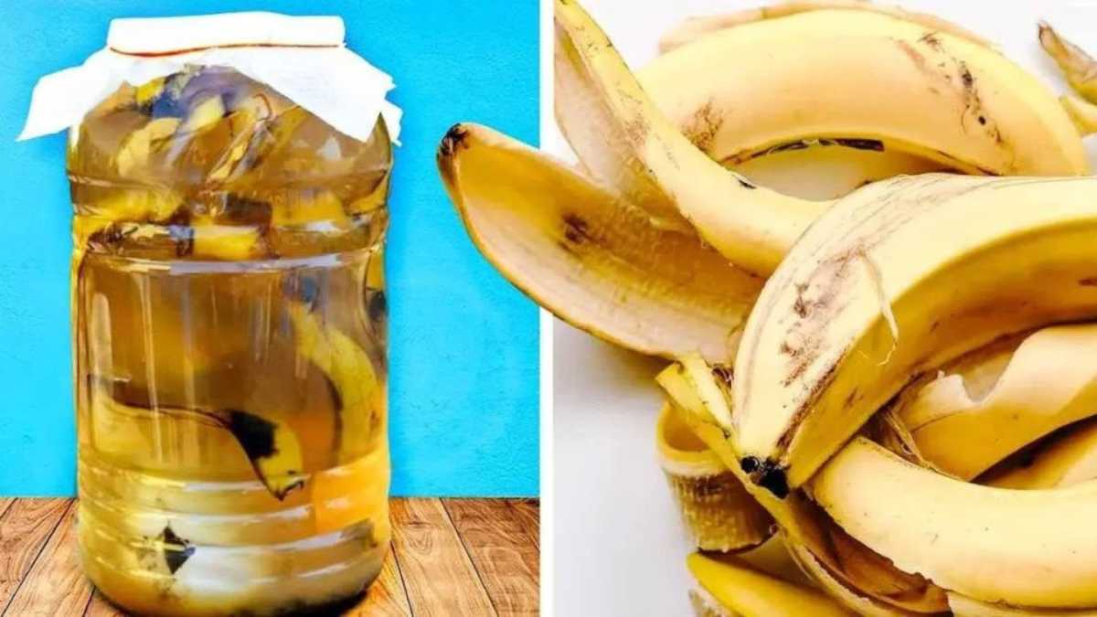 Don’t Throw Out That Banana Peel