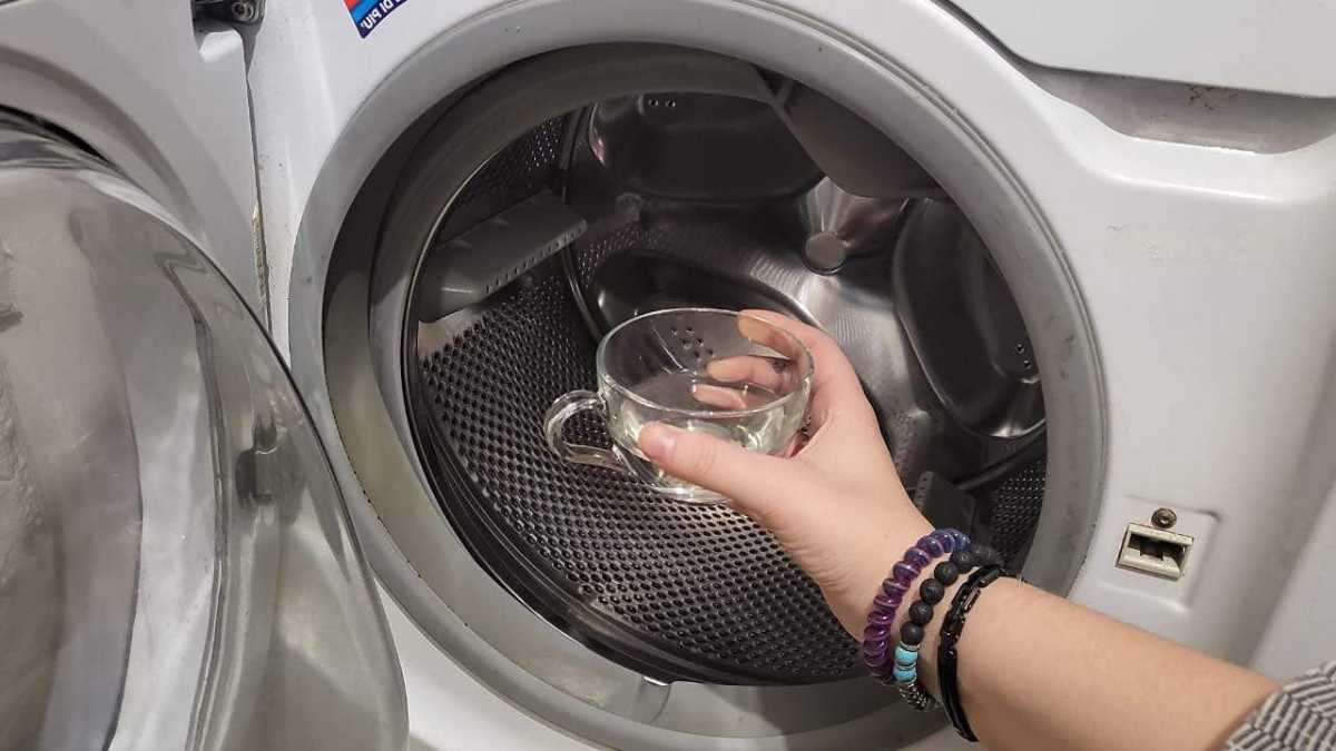 How To Clean A Washing Machine For Fresh Clothes And Linen