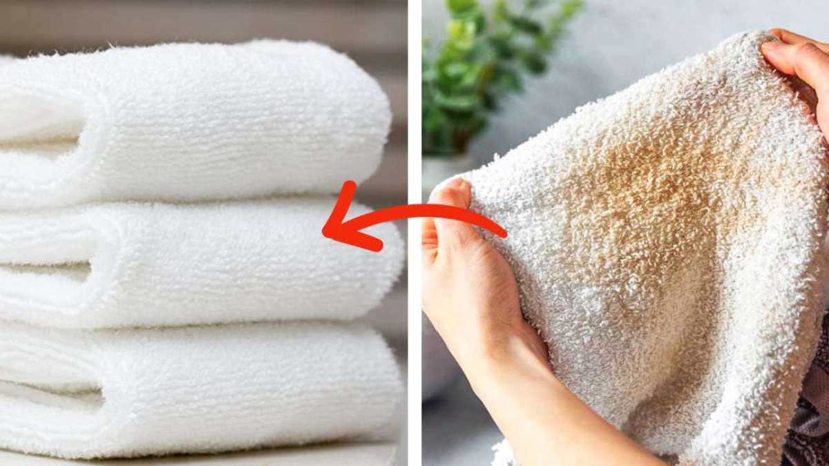 How To Keep Towels White And Fluffy Granny Tricks