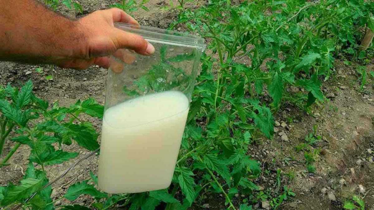 How to Make Your Own Fertilizer