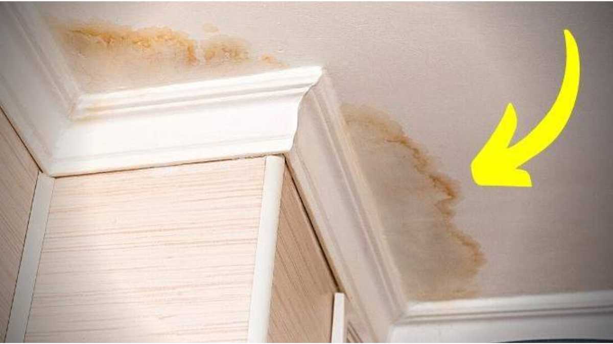How to Remove a Moisture Stain from the Ceiling