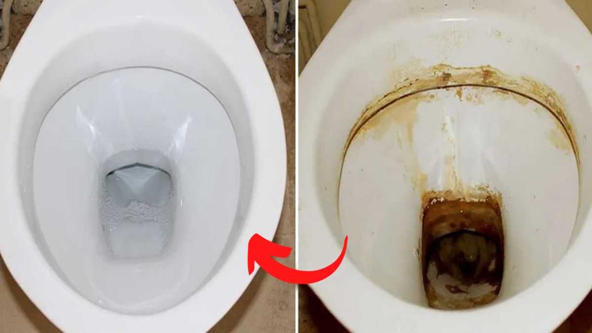 The Secret Ingredient To Keep Your Toilet Sparkling Clean