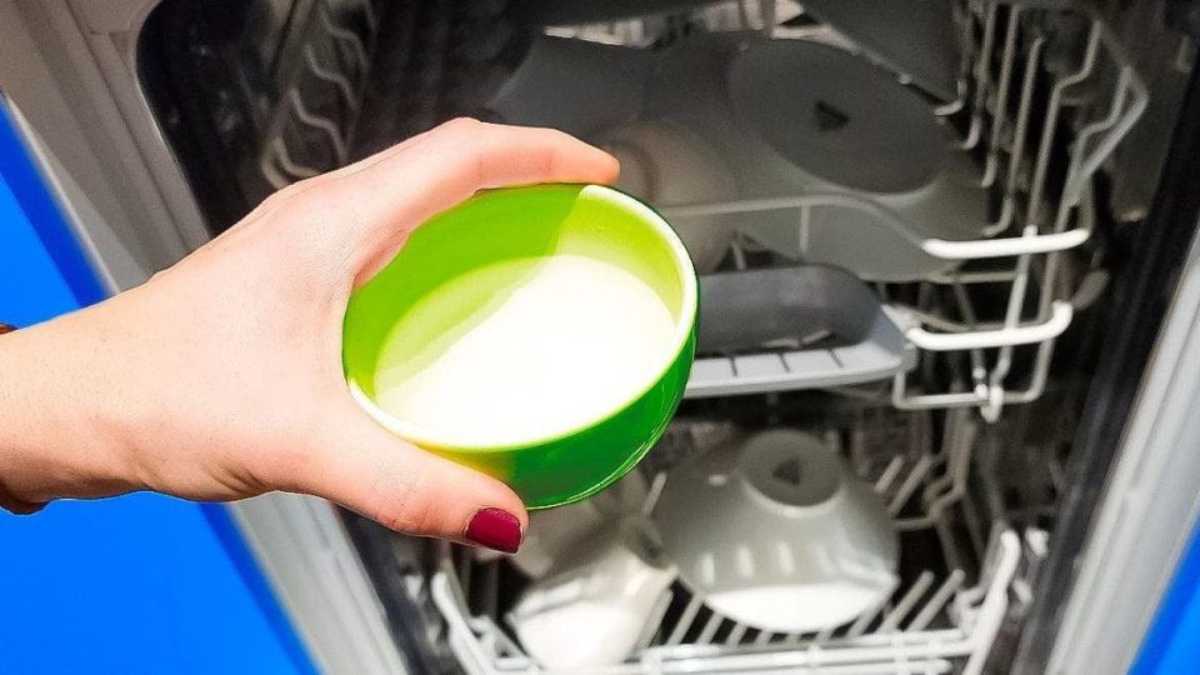 How to Get Rid of Dishwasher Smells Granny Tricks