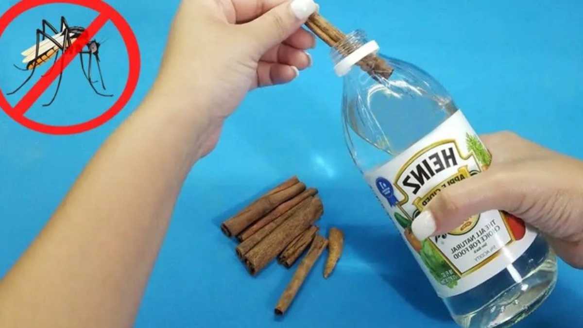 How to Use Vinegar as Protection From Mosquitoes