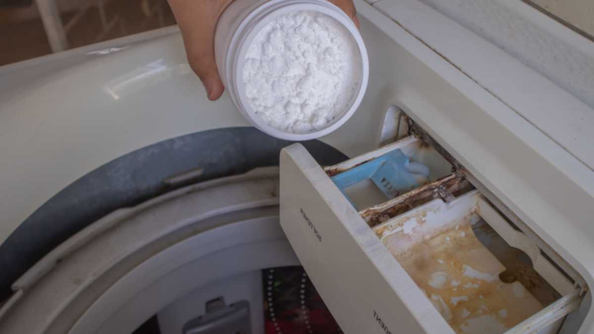 3 Tricks to Clean the Washing Machine Thoroughly