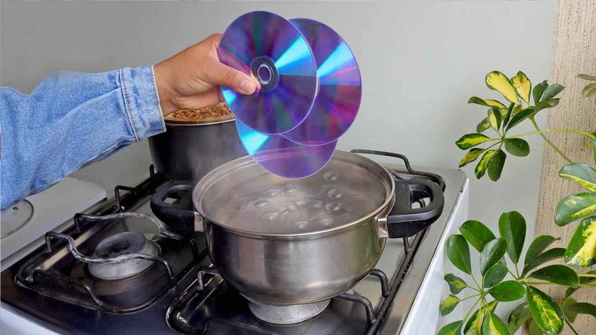Brilliant DIY Ideas How to Recycle Your Old CDs 