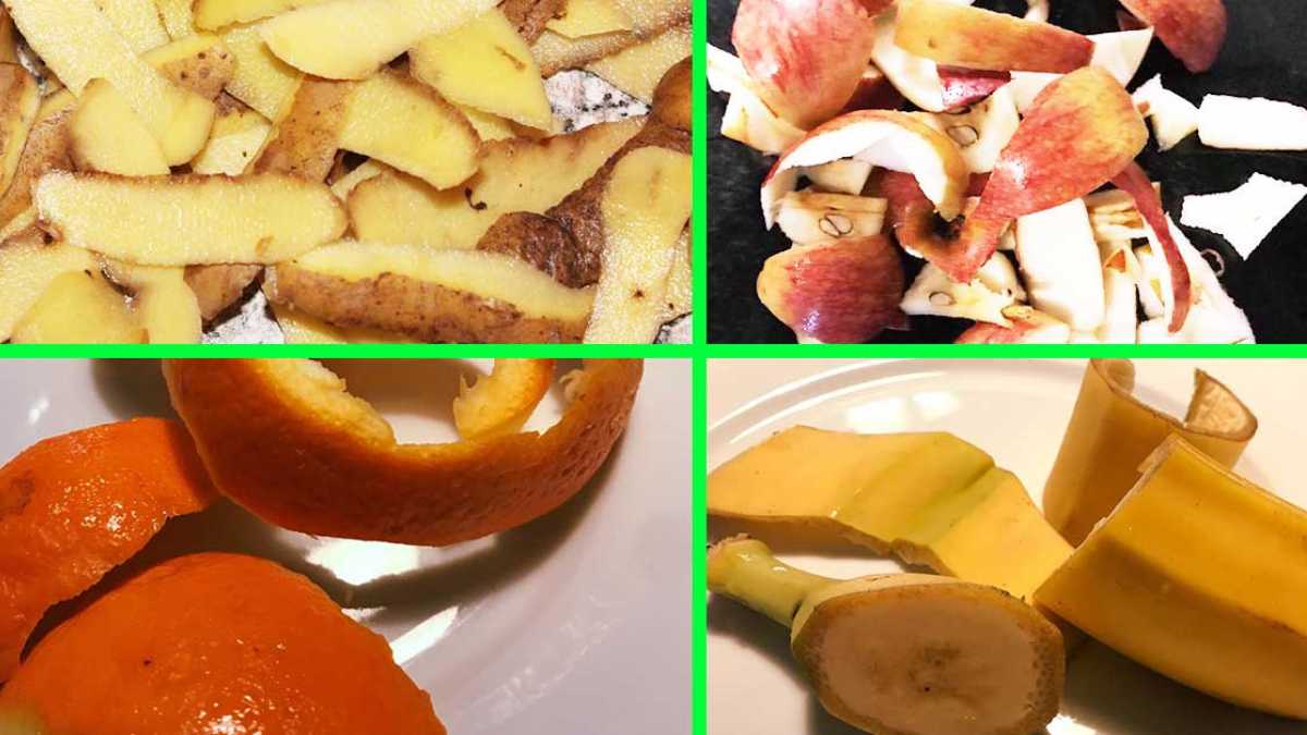 How to Recycle Fruit and Vegetable Peels