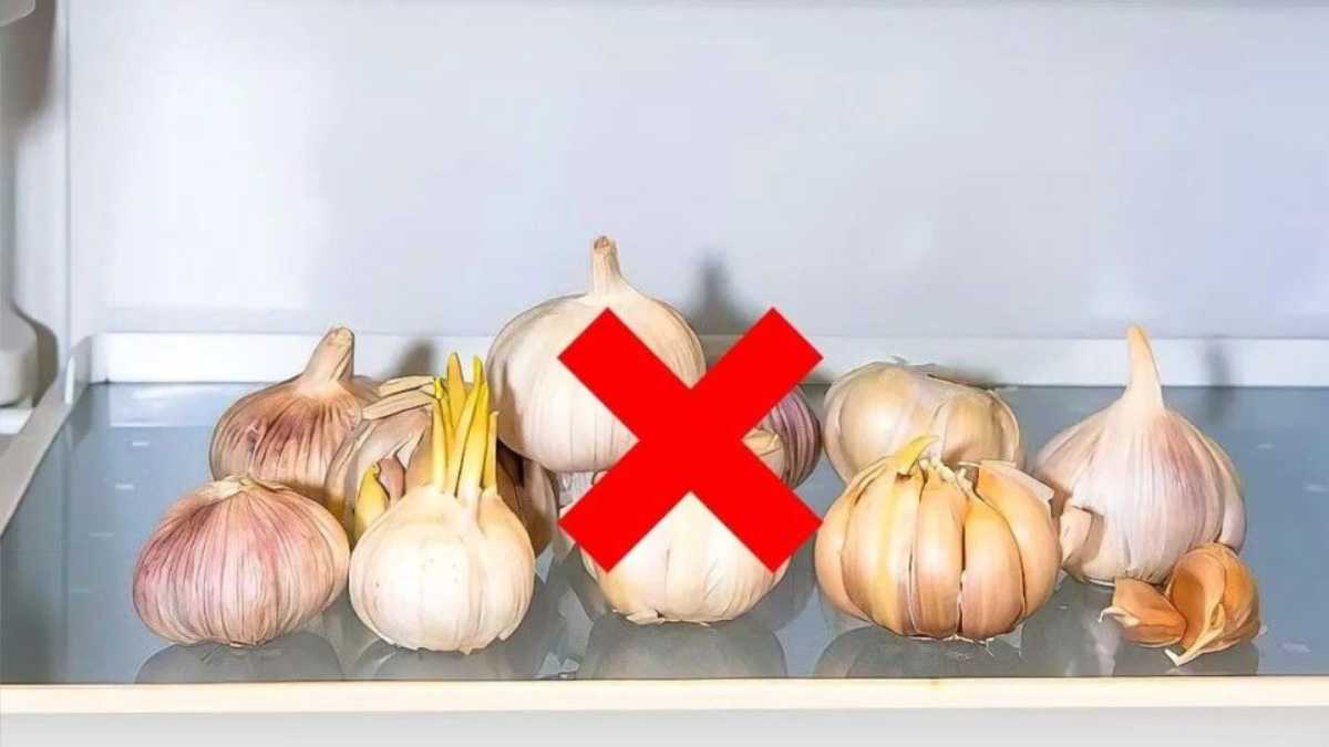 How To Store Garlic So It Stays Fresh