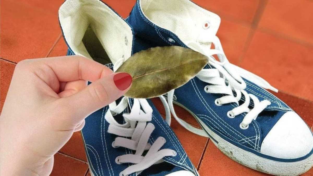 Why you need to put bay leaves in your shoes at night