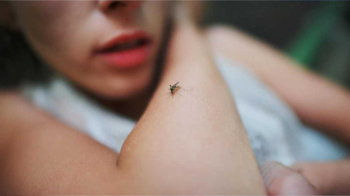 4 Gadgets to Keep Away Pesky Mosquitoes