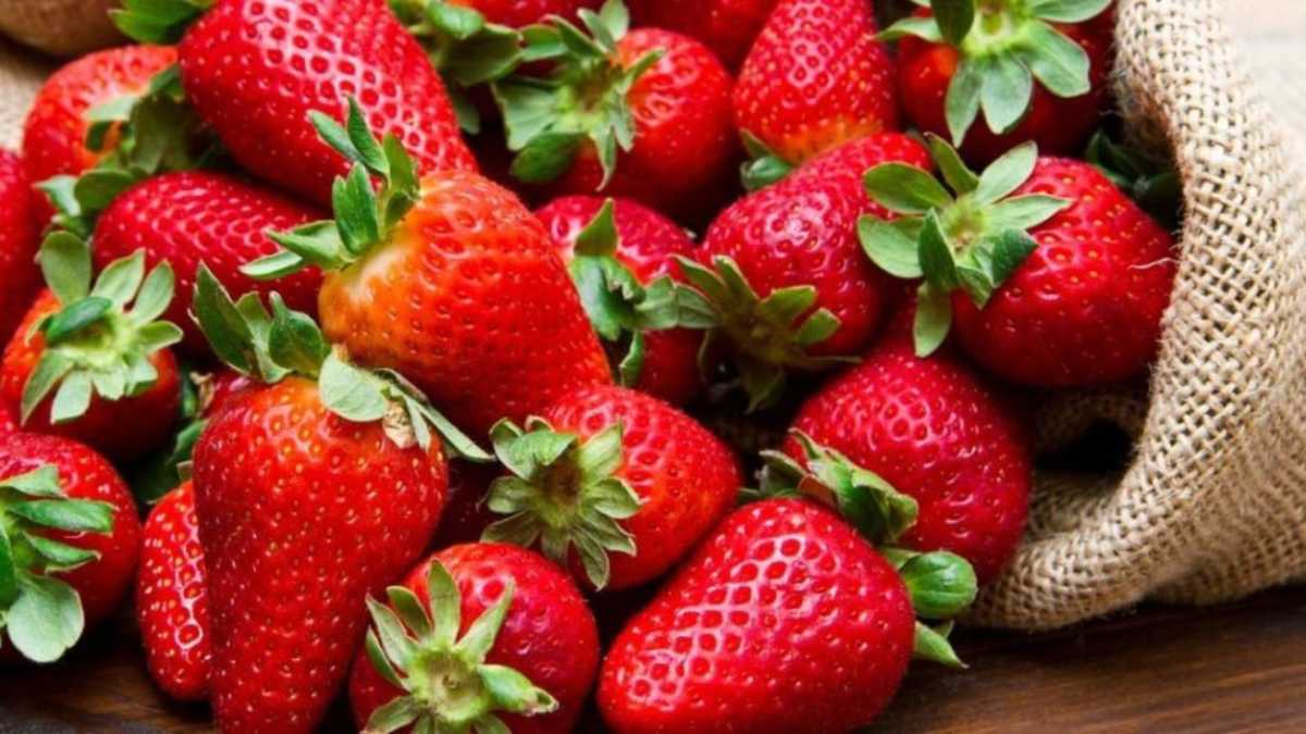 5 Tips for Beautiful Strawberries in Your Garden