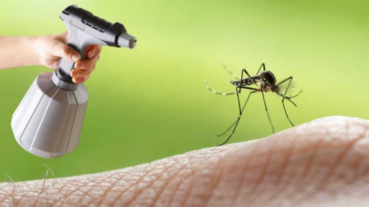 A Powerful Natural Mosquito Repellent