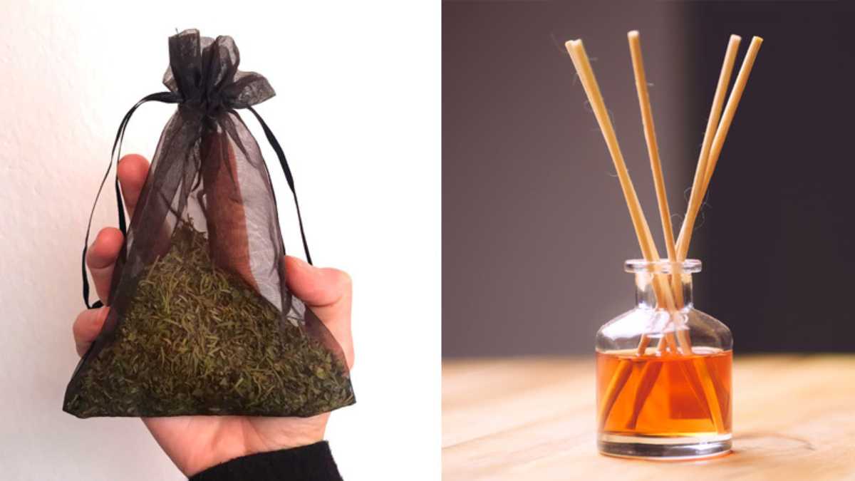 How To Make Your Own Natural Air Fresheners