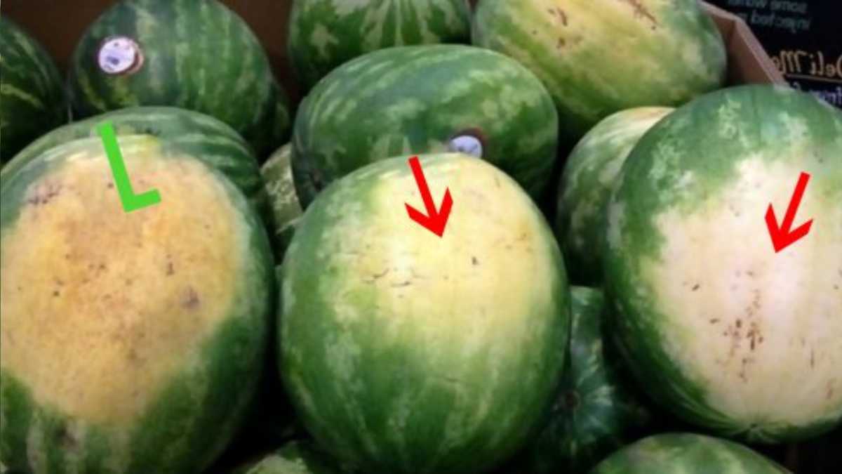 How to Pick a Perfect Watermelon