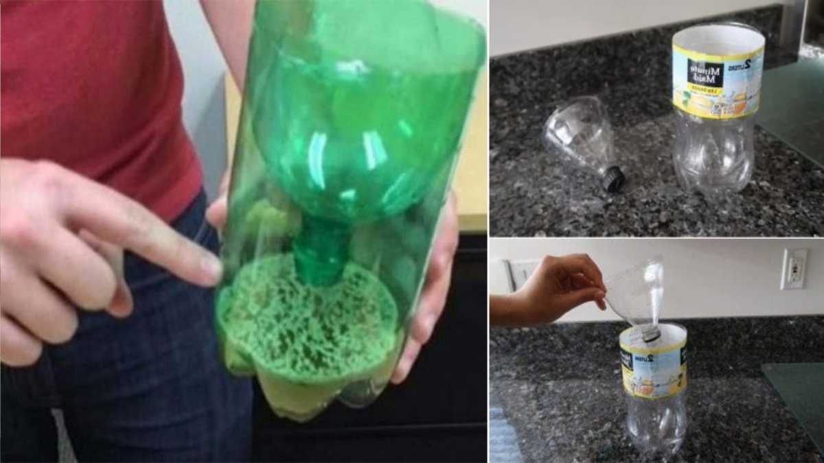 Try this DIY eco-friendly mosquito trap