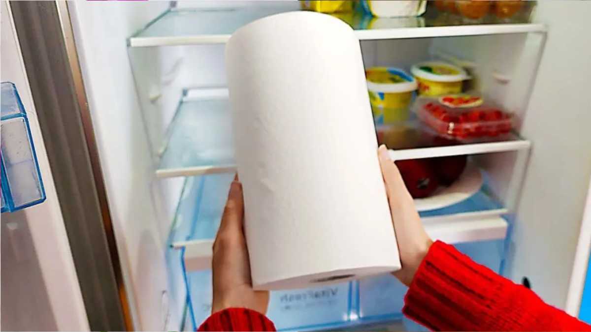 Why do people put paper towels in the refrigerator?