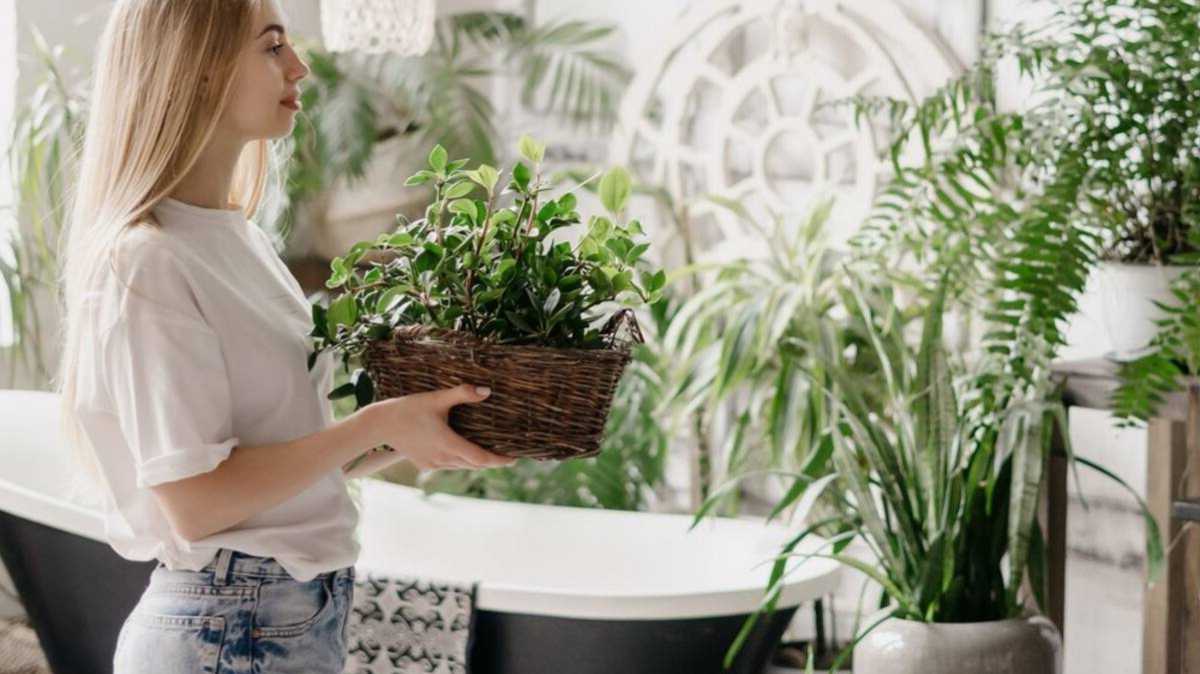 How To Keep Your Plants Alive While On Vacation