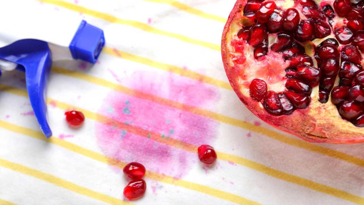 How to Remove Fruit Stains: Blueberry, Avocado, etc
