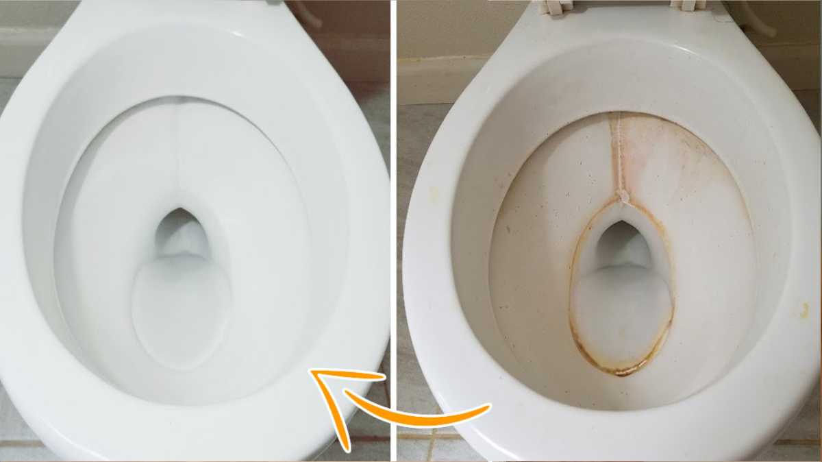 How to Remove Toilet Bowl Stains