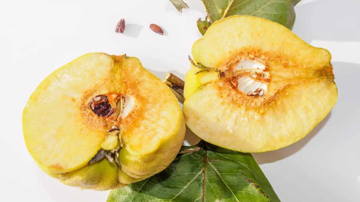 Important Food Hack: Only This Way Quinces Are Edible