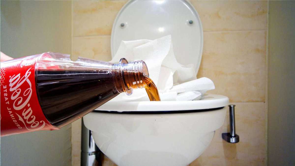 POUR Coke in Your Toilet and WATCH WHAT HAPPENS!!