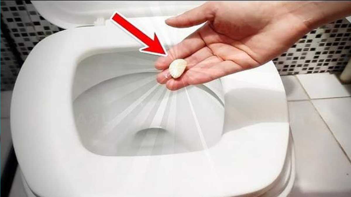 Put a clove of garlic in the toilet at night for this brilliant reason
