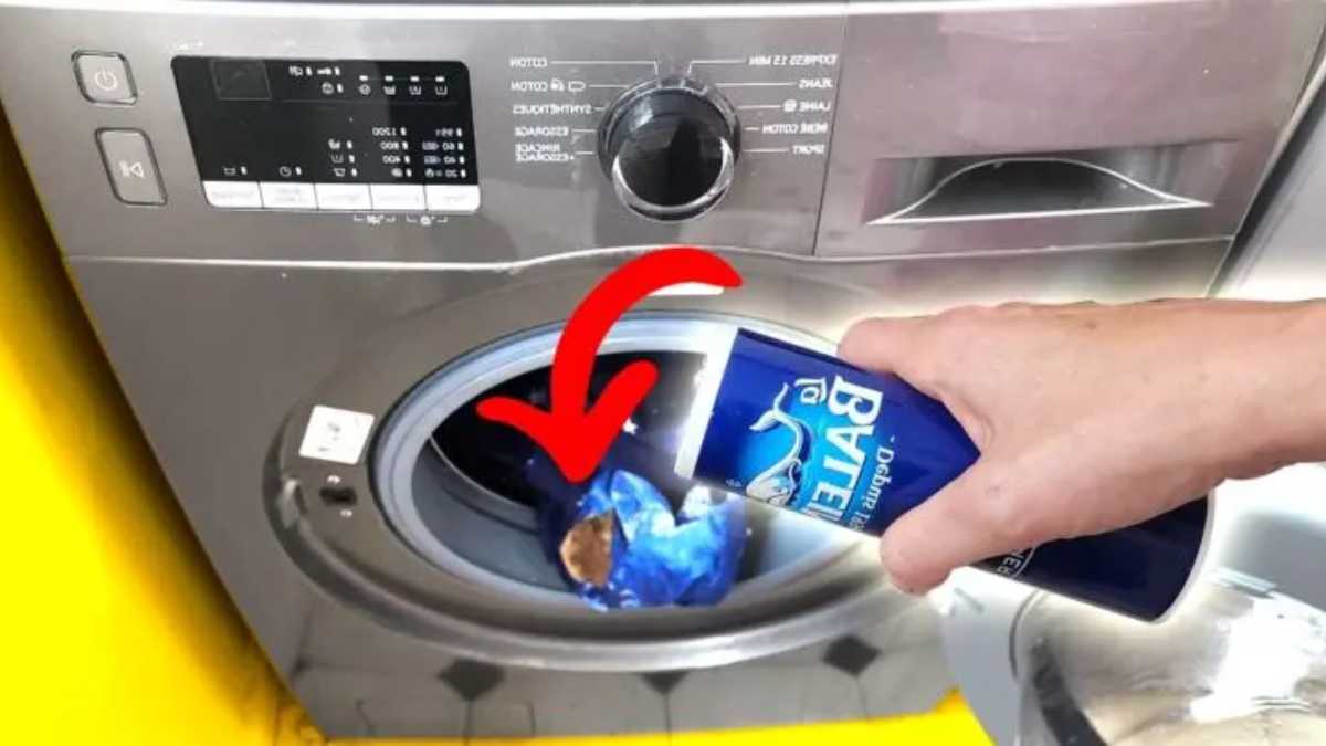 Put SALT in your Washing Machine and WATCH WHAT HAPPENS
