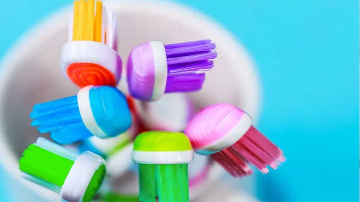 Why Do Toothbrushes Have Colored Bristles?