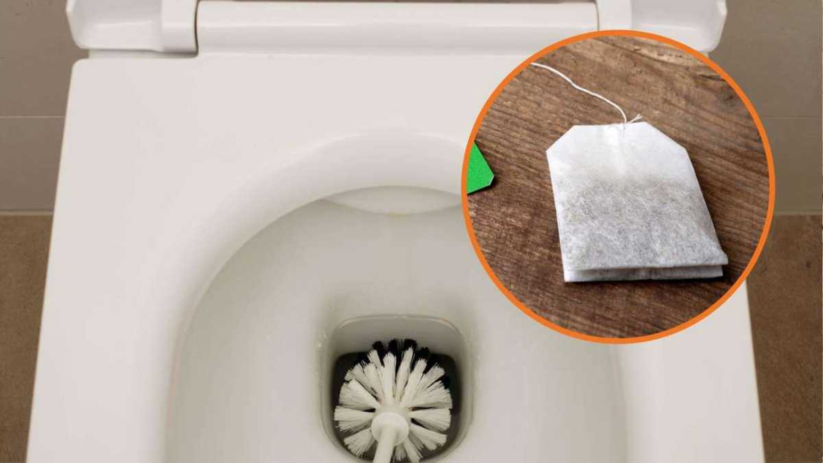 Why put a teabag in the toilet: you'll be amazed by the effect