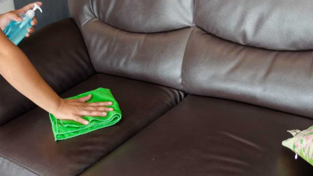 Easy Sofa Cleaning Tips Everyone Should Know