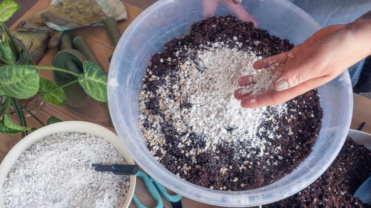 How to Prepare a Fertilizer Rich in Calcium and Potassium for the Growth of Your Plants