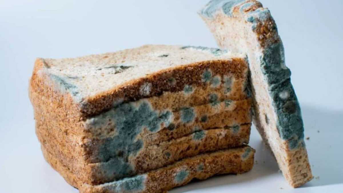 What Happens if You Accidentally Eat Moldy Food?