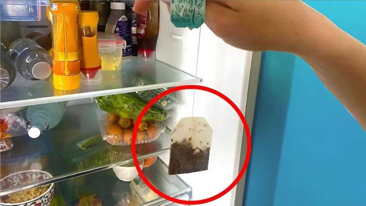 Why Put a Tea Bag in the Fridge? (Solved & Explained!)