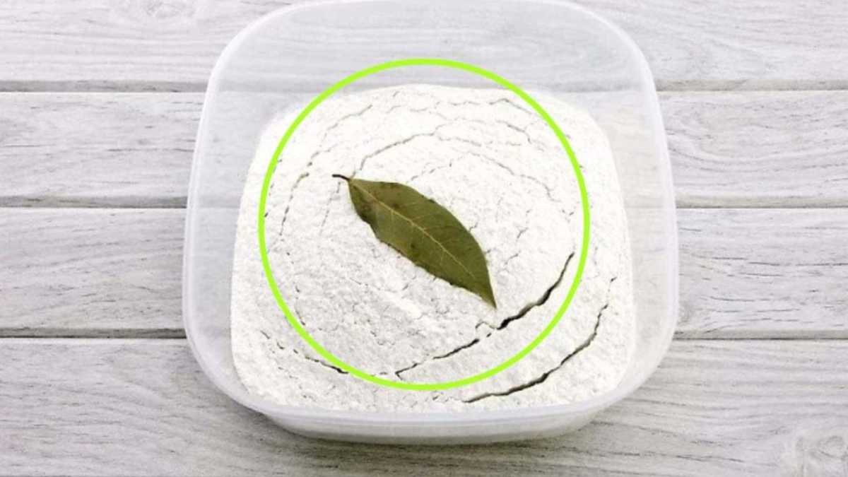 Bay Leaf in Flour, Why Use It So: The Advantages