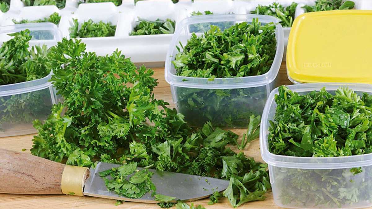 Freeze parsley: So it stays fresh for a long time