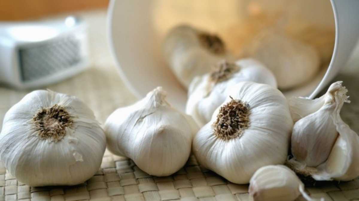garlic-can-kill-14-different-infections-so-why-dont-doctors-recommend-it
