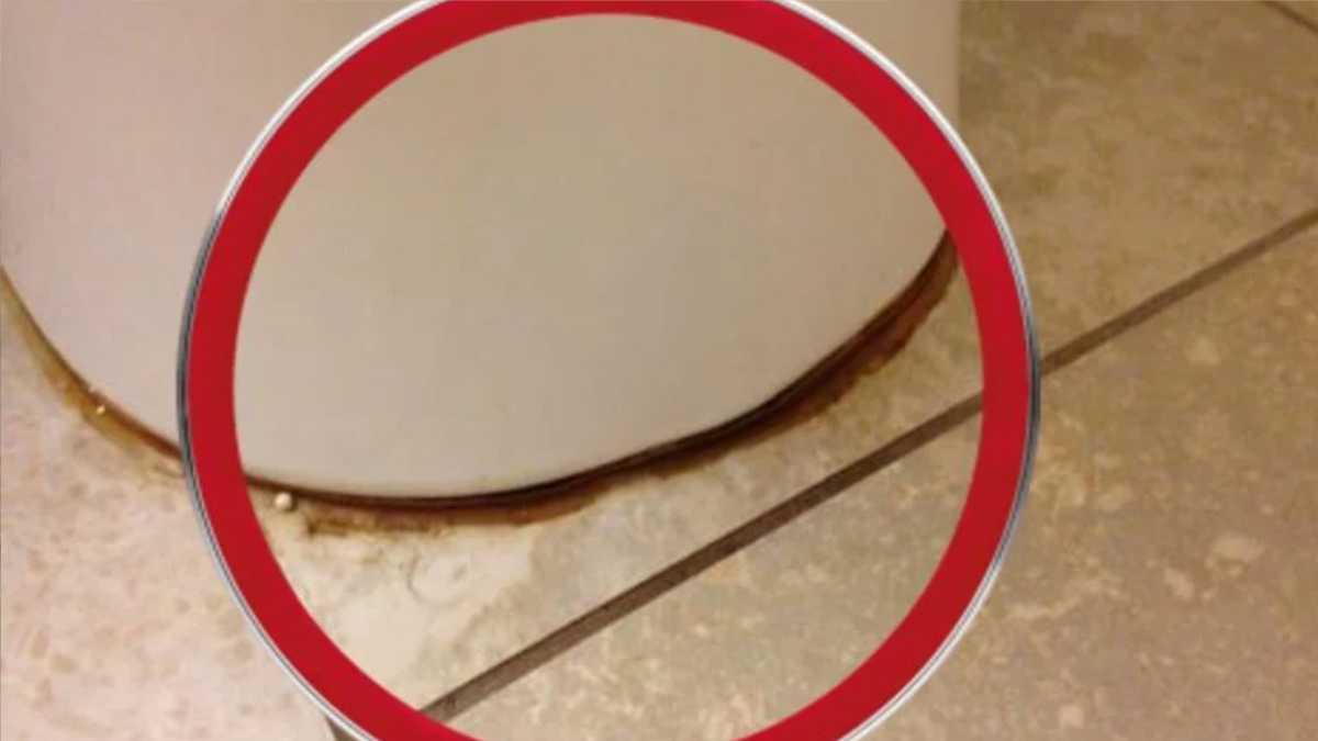 How to Clean Black Ring under Toilet Rim