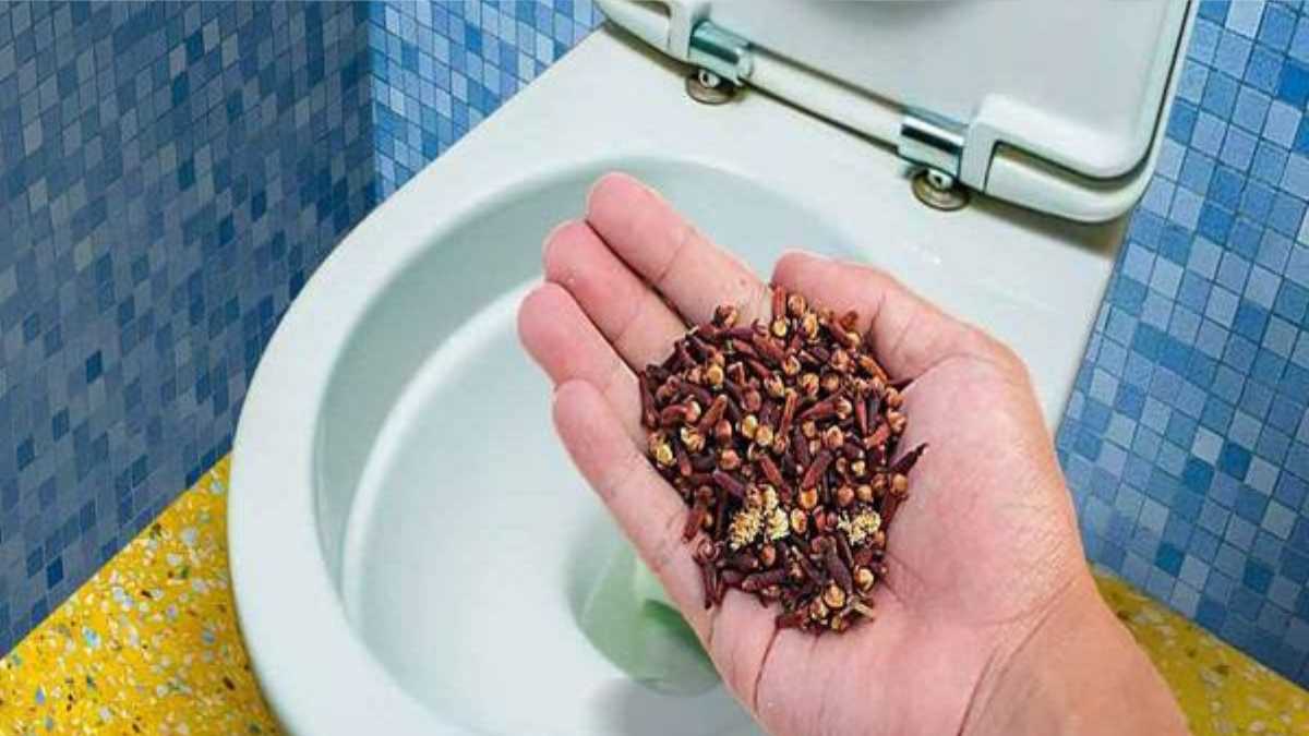 How to eliminate urine smell in bathroom?