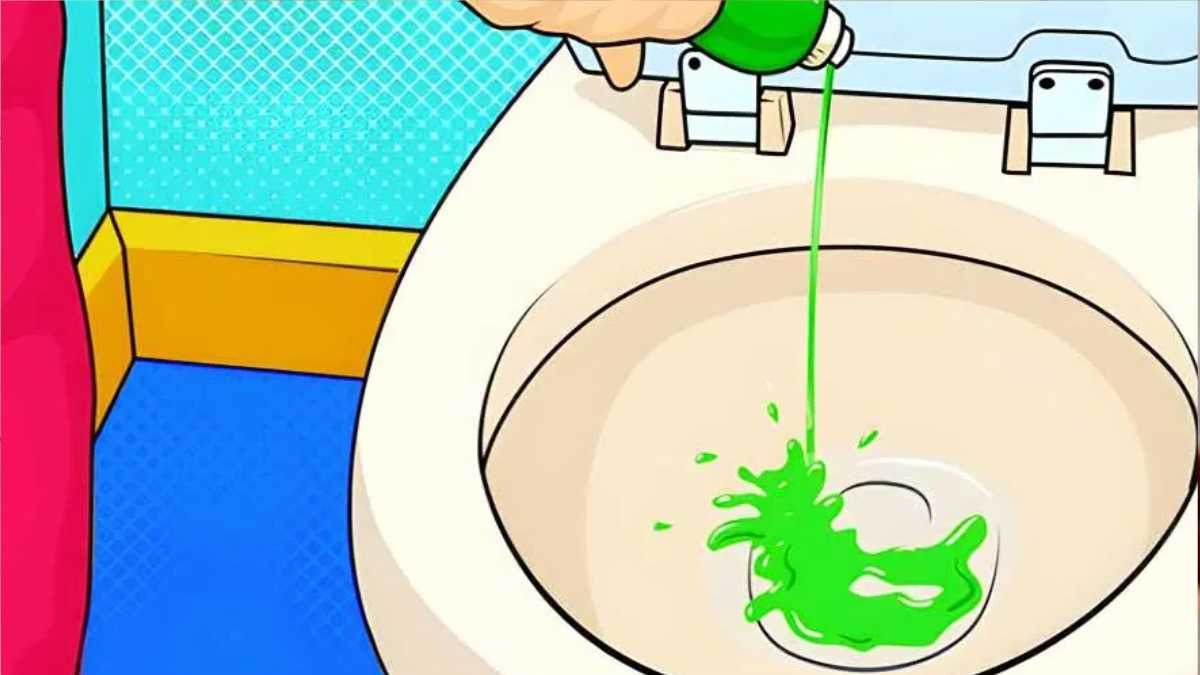 Pouring dishwashing liquid down the toilet: This is the favorite trick of plumbers