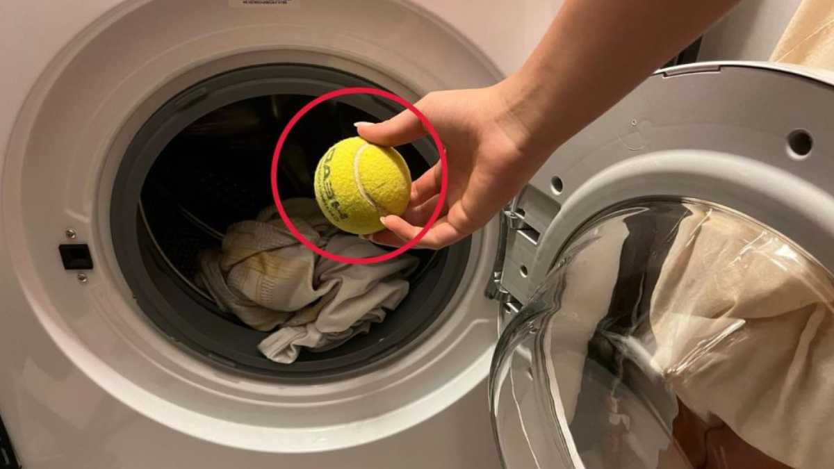 Put a Tennis Ball in the Washing Machine, What Happens to Clothes Is Sensational
