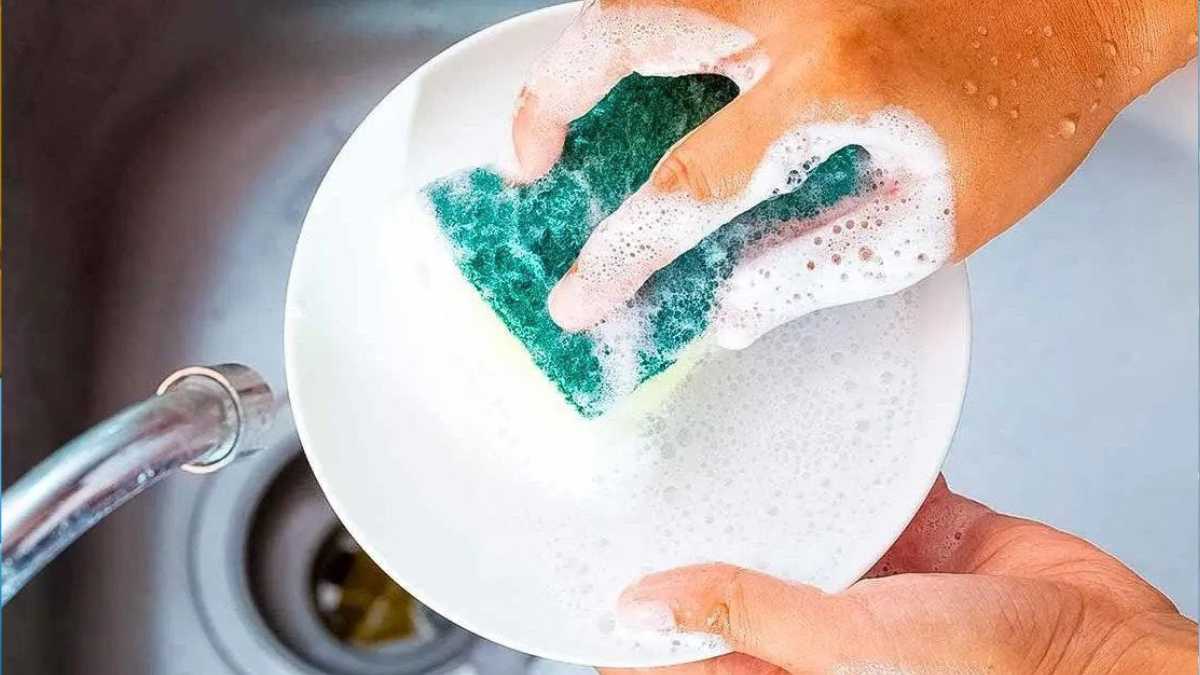 Smart housewives never throw dish sponges, here's why