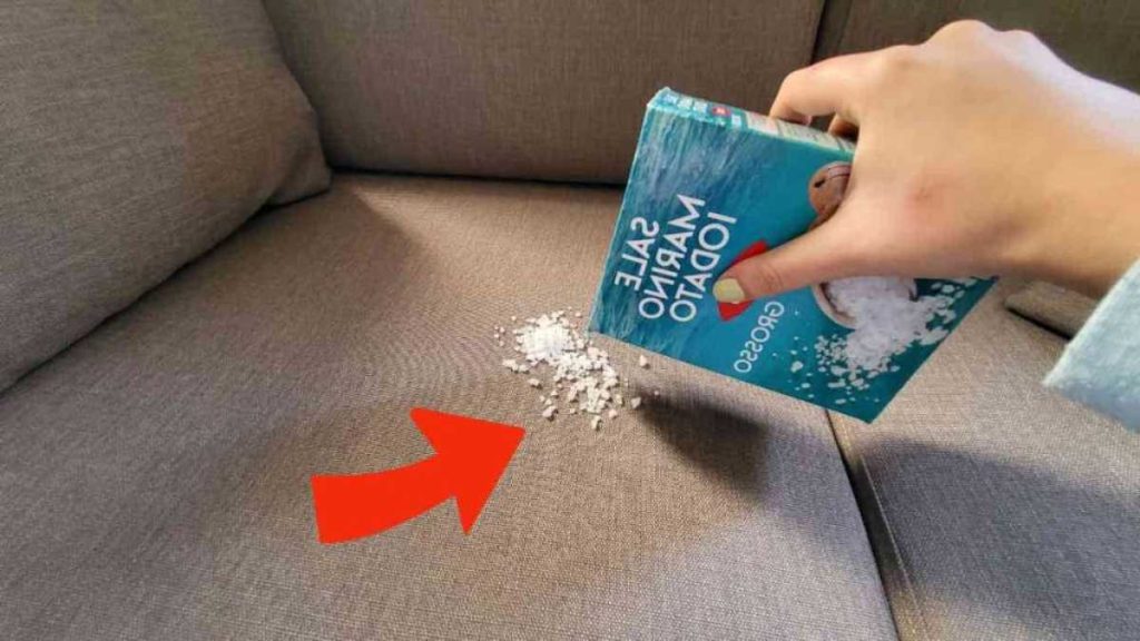Sprinkle a handful of salt on the couch. What happens might surprise you