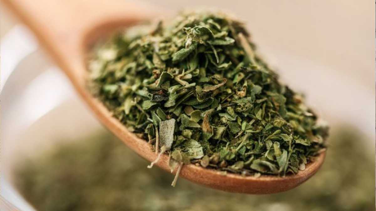 Sprinkle oregano on your feet: what happens to your body after a few seconds