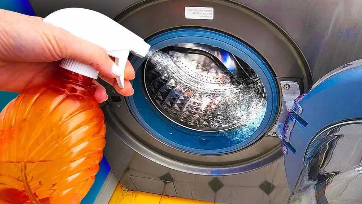 The trick to eliminate all bad odors from the washing machine: A single product from the kitchen is enough for you