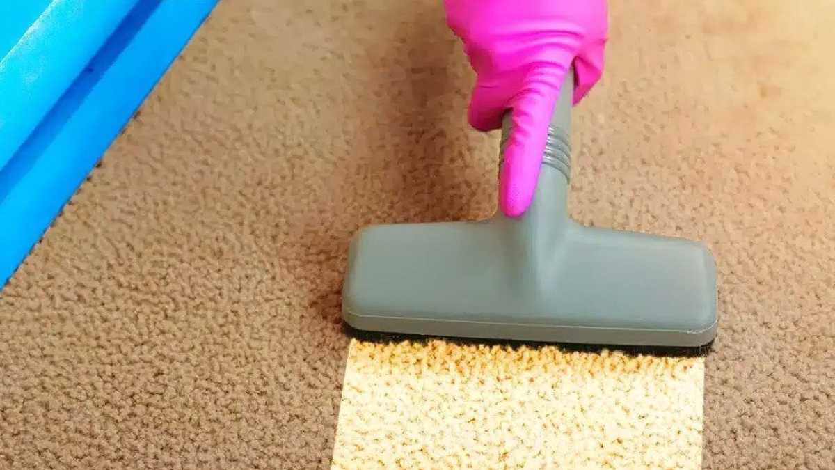 Without water or detergent: this natural product makes your carpet super clean