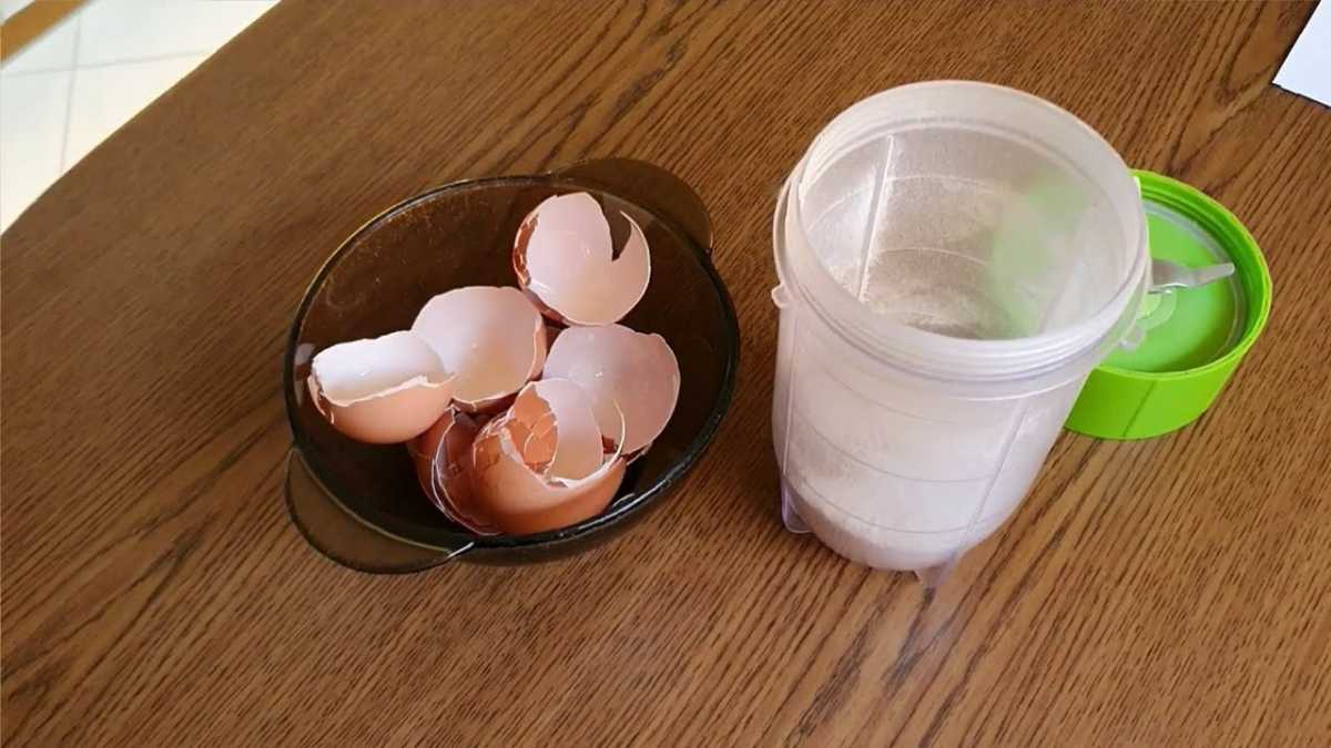 15 Brilliant Uses for Eggshells in the Home and Garden