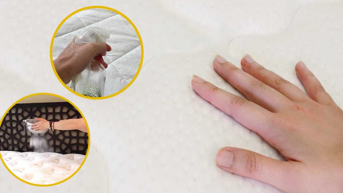 8 Quick DIY Tricks to Stains, Disinfect and Scent a Mattress