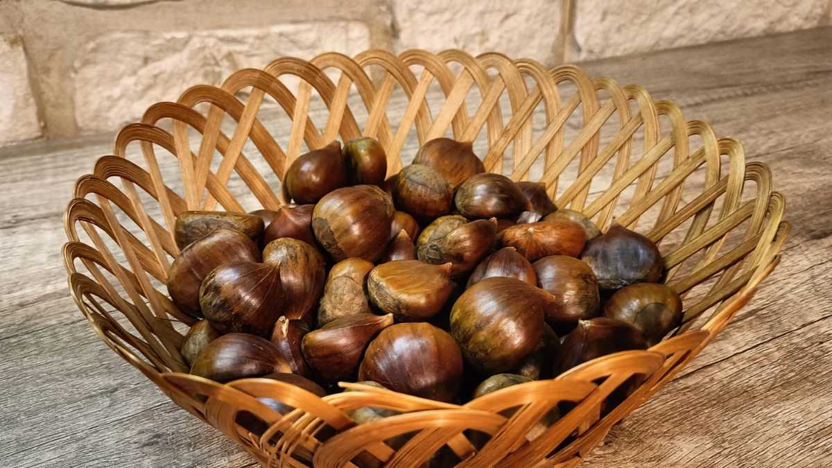 Can dogs eat chestnuts?