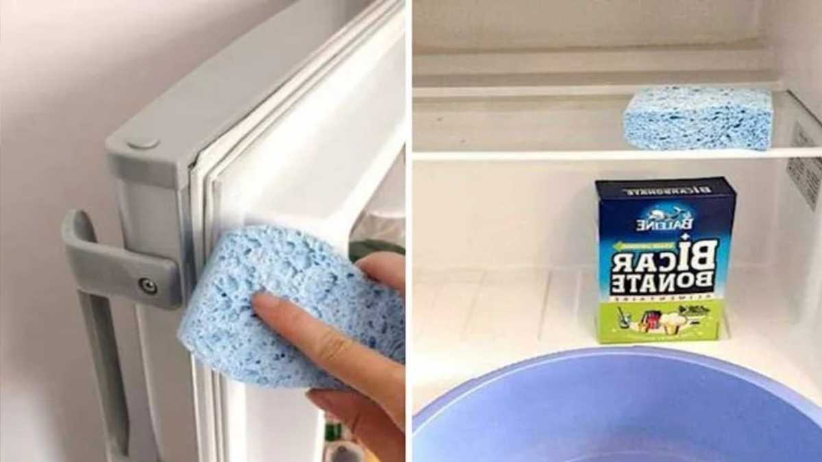 How to Clean your Refrigerator both Inside and Outside