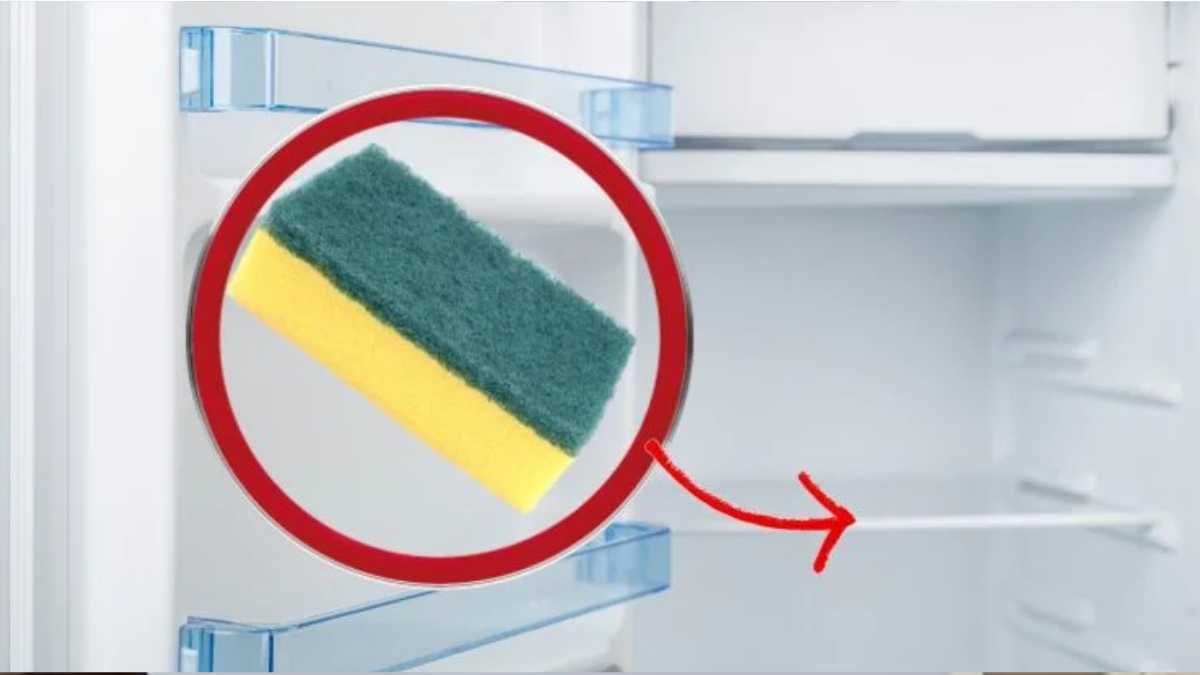 Put a sponge in the fridge and save! How and why